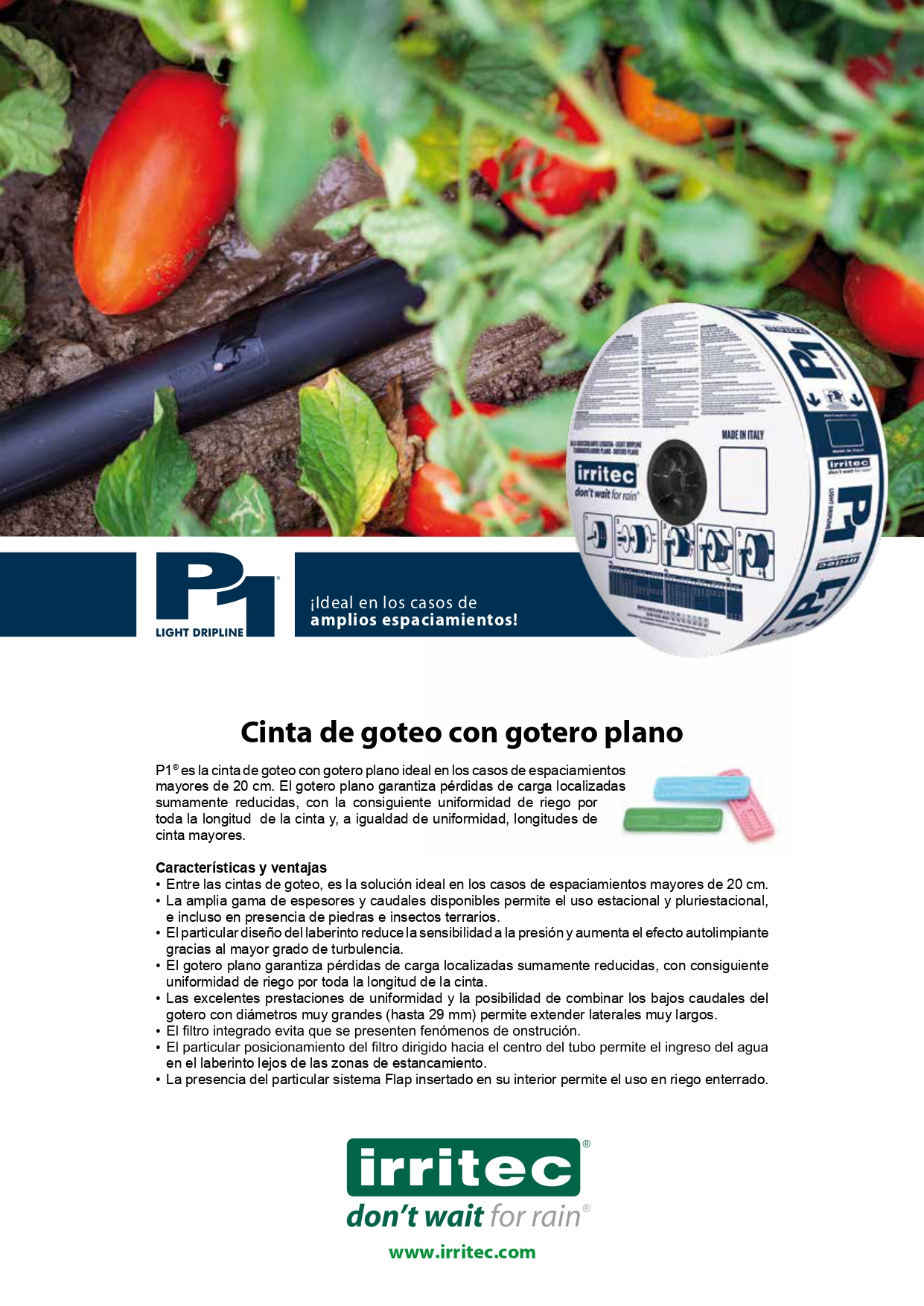 CINTA P1 5/8 6 MIL 0.8 LPH @20 CM R-2800 C/FLAP - Imagen 2
