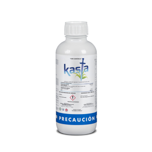 Kasta 240 KOORAGRO